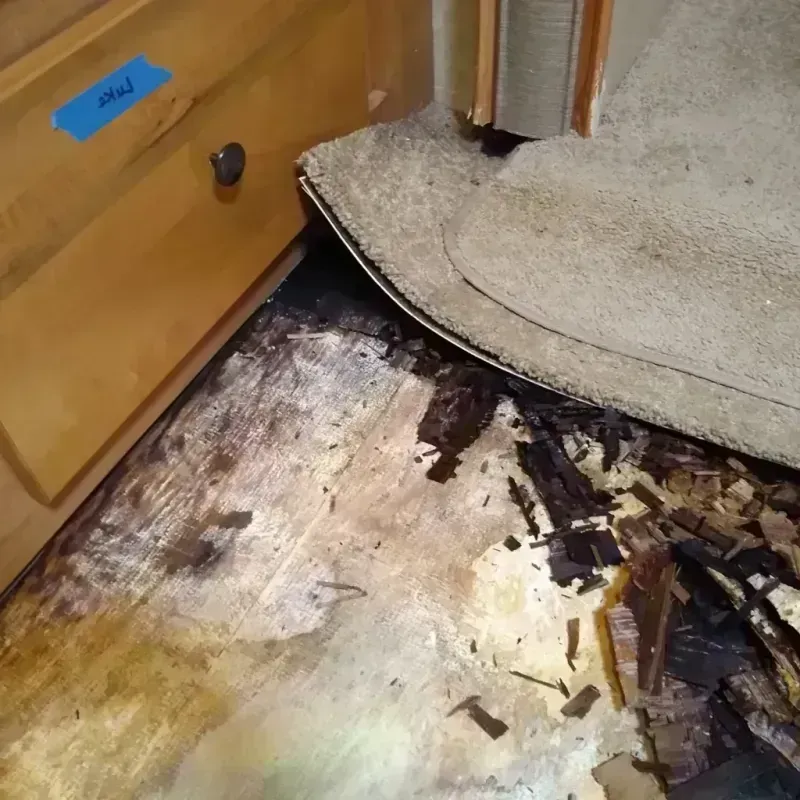 Best Wood Floor Water Damage Service in Jackson, NJ